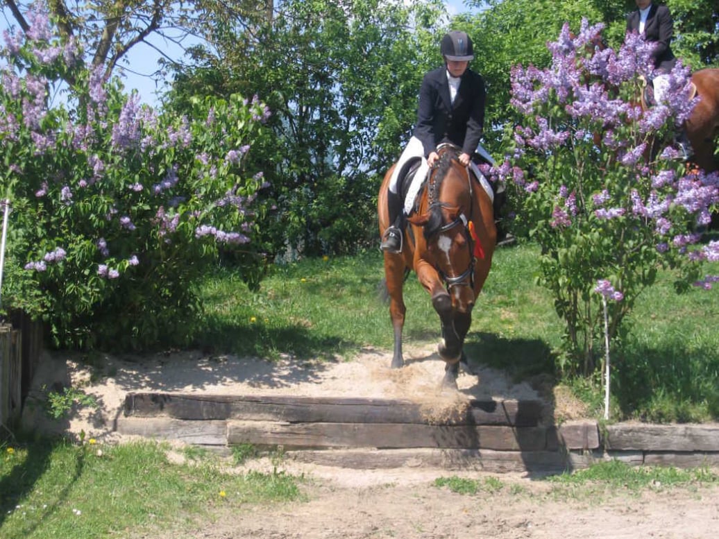 Geländereitabzeichen Stufe 2