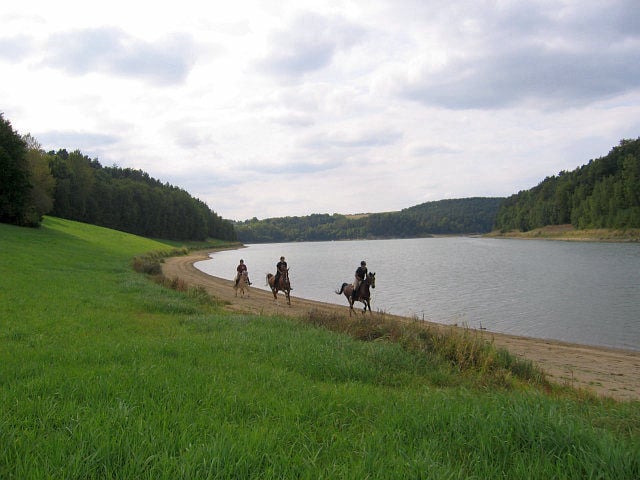 Geländereitabzeichen Stufe 1